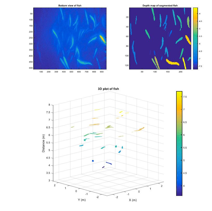 Figure 8. Visualizations of fish biomass and behavior patterns.