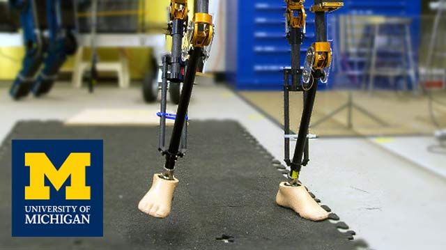 密歇根大学的发展对双足机器人的控制与基于模型的设计
