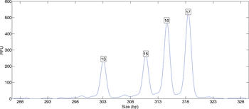 图2.从混合样品DNA数据，显示多个峰。