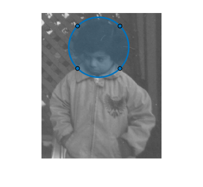 图中包含一个轴对象。axis对象包含两个image、images.roi.circle类型的对象。