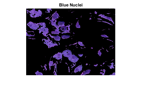 图中包含一个轴对象。标题为蓝色核的轴对象包含一个类型为image的对象。