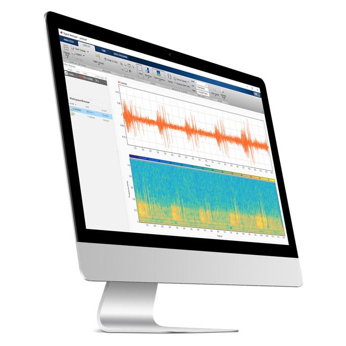 计算机显示声音数据的信号处理和小波分析。