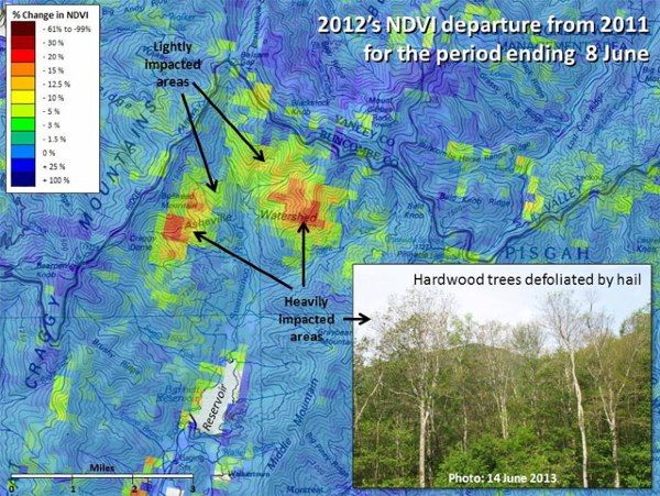 美国森林变化评估查看器地图显示，在2012年冰雹风暴后，北卡罗来纳州阿什维尔分水岭的破坏。