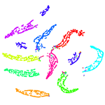 t-SNE技术的可视化示例显示了一个包含10种不同颜色的12个点簇的图形。