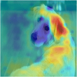 可视化例子闭塞敏感性热图的狗的形象。地图上突出了狗的耳朵和身体。