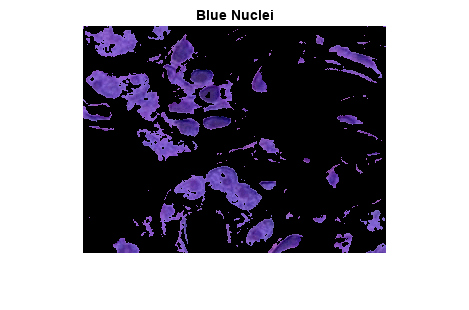 图包含一个坐标轴对象。坐标轴对象与标题蓝色细胞核包含一个类型的对象的形象。