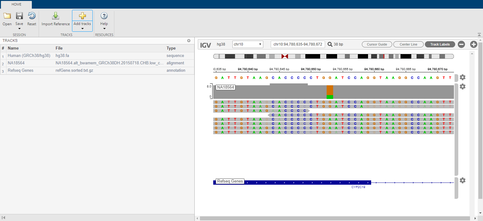 履带面板有三条履带，即hg38。fa序列，NA18564比对数据，refseq基因注释。IGV图形化地显示对齐后的读数。