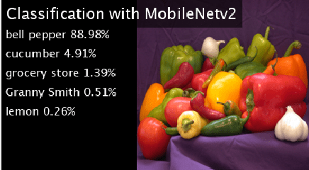 MobileNet-v2网络的代码生成和部署到树莓派