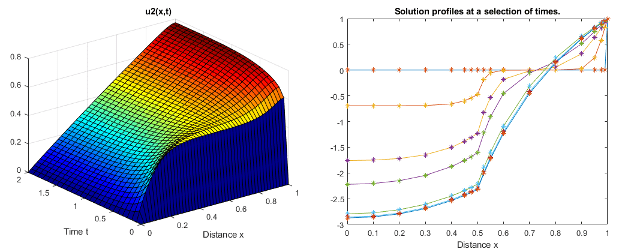 Plotted solutions of two 1-D partial differential equation problems