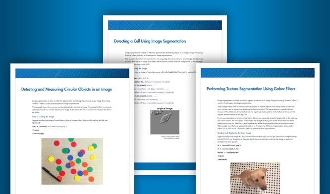 Image Segmentation and Thresholding Code Examples