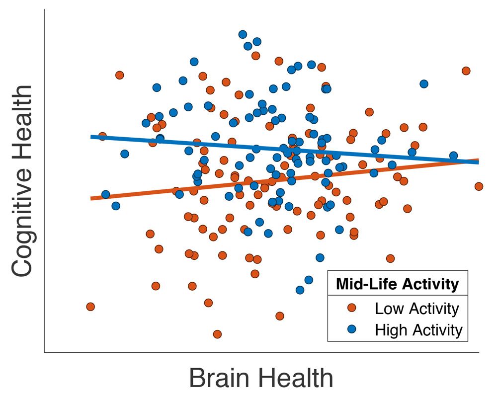 Grafico Che Mostra Il Miglioramento Della Sanute Cerebrale di Pazienti Anziani Con Alti Livelli diAttivitàSociale在etàMedia