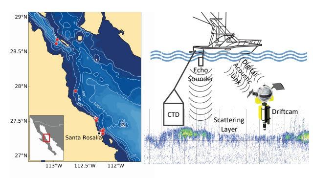 右图是加利福尼亚湾的地图，上面有漂移摄像头的部署。系统图与回声探测仪，船，和漂移摄像机，左。