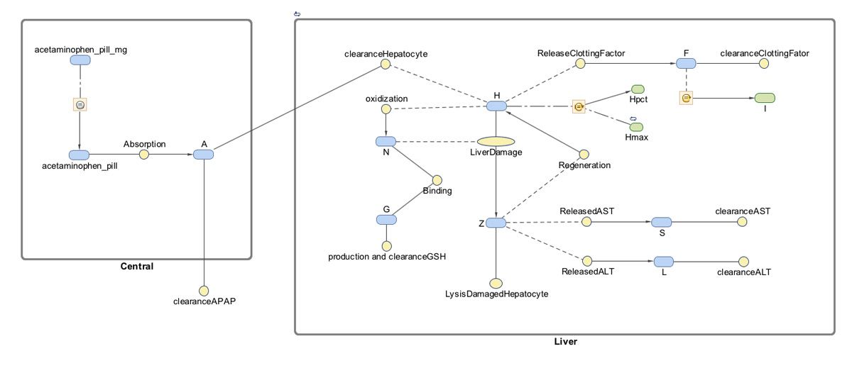 图1。SimBiology模型描述对乙酰氨基酚的口服吸收、代谢和毒性。