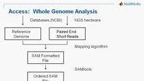 In this webinar you learn how to perform Next Generation Sequence (NGS) visualization and analysis using MATLAB and Bioinformatics Toolbox.  An applied ChIP-Seq example is used to illustrate key components of NGS analysis including:     Visualizing s