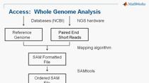 在此次网络研讨会您将学习如何使用MATLAB和生物信息学工具箱进行下一代序列（NGS）可视化和分析。 An applied ChIP-Seq example is used to illustrate key components of NGS analysis including:     Visualizing s