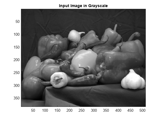 图中包含一个axes对象。标题为Input Image in Grayscale的axes对象包含一个类型为Image的对象。