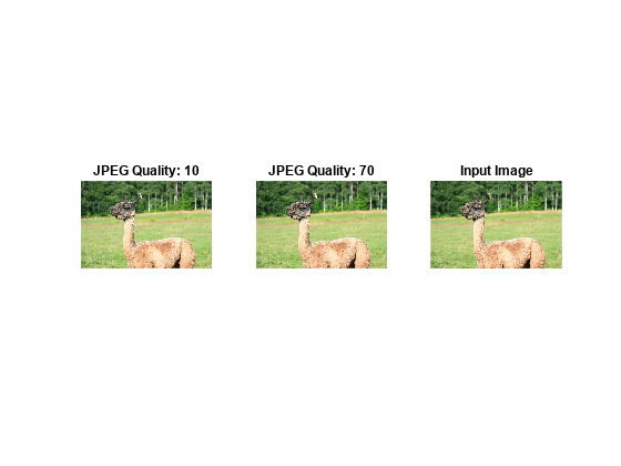 图中包含3个轴对象。标题为JPEG质量:10的坐标轴对象1包含一个图像类型的对象。标题为JPEG质量:70的坐标轴对象2包含一个image类型的对象。标题为Input Image的坐标轴对象3包含一个Image类型的对象。