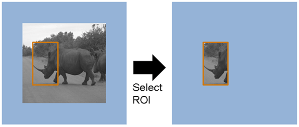 指定的区域输入帧作为一个像素返回流与像素标记为非活动以外的区域。