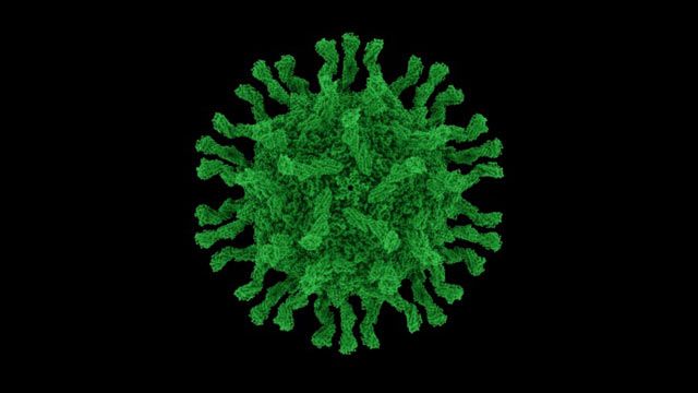 Immagine ravvicinata di una particella di脊髓灰质炎病毒。